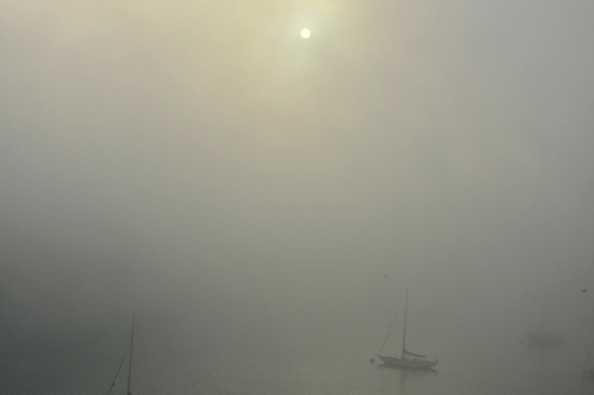 06 September 2021 - 07-22-57

-------------------
Sun & mist on the river Dart